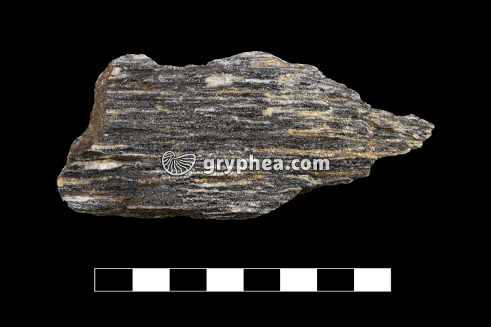 Gneiss altéré - échantillon - gryphea.com